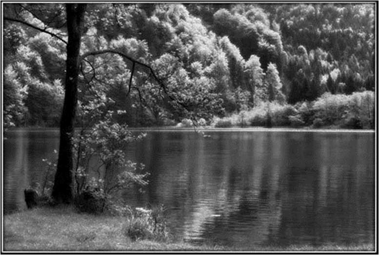 Иллюстрация к книге — Вкусная Венеция. Любовь, еда и тайны северной Италии [image62.jpg]