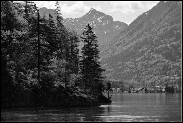 Иллюстрация к книге — Вкусная Венеция. Любовь, еда и тайны северной Италии [image65.jpg]