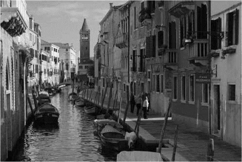 Иллюстрация к книге — Вкусная Венеция. Любовь, еда и тайны северной Италии [image8.jpg]