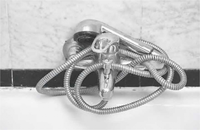 Иллюстрация к книге — Сладкая жизнь в Париже. Гастрономические авантюры в самом прославленном и противоречивом городе мира [i_013.jpg]