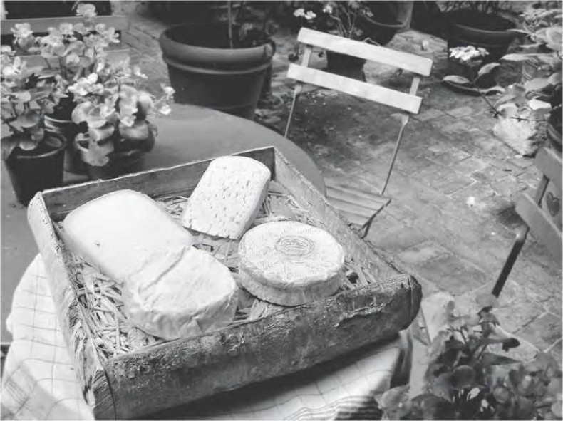 Иллюстрация к книге — Сладкая жизнь в Париже. Гастрономические авантюры в самом прославленном и противоречивом городе мира [i_022.jpg]