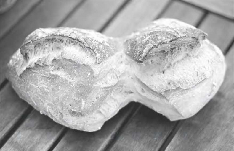 Иллюстрация к книге — Сладкая жизнь в Париже. Гастрономические авантюры в самом прославленном и противоречивом городе мира [i_029.jpg]