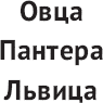 Иллюстрация к книге — Ослам не дают! Львиная инструкция по соблазнению топовых женщин [i_009.jpg]