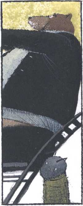 Иллюстрация к книге — Письма только для своих [i_014.jpg]