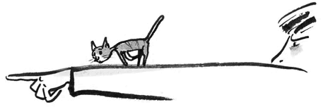 Иллюстрация к книге — Банальные истории [i_003.jpg]