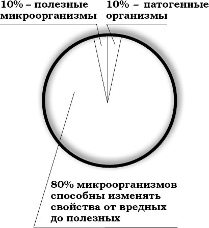 Иллюстрация к книге — Поможет только вода [_21.jpg]