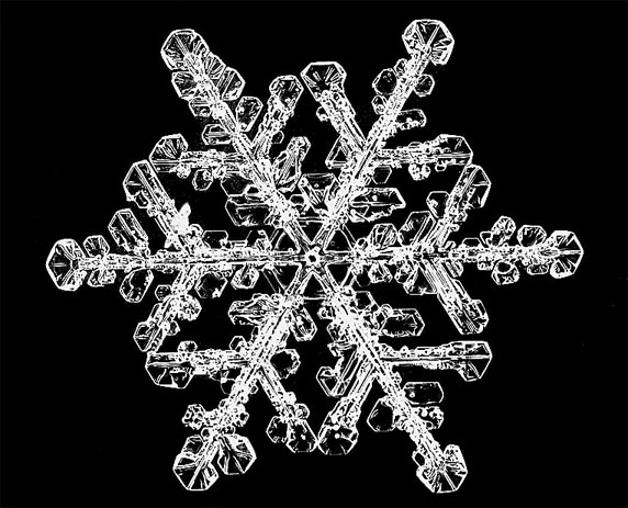 Иллюстрация к книге — Поможет только вода [_22.jpg]