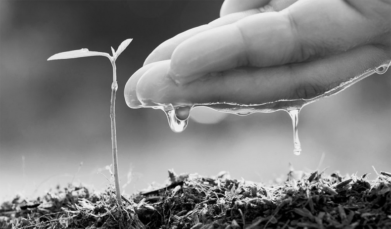 Иллюстрация к книге — Поможет только вода [_23.jpg]