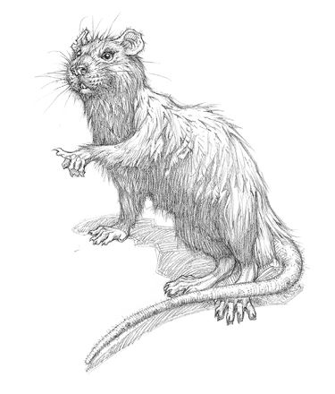 Иллюстрация к книге — Полет дракона [i_027.jpg]