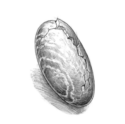 Иллюстрация к книге — Полет дракона [i_033.jpg]