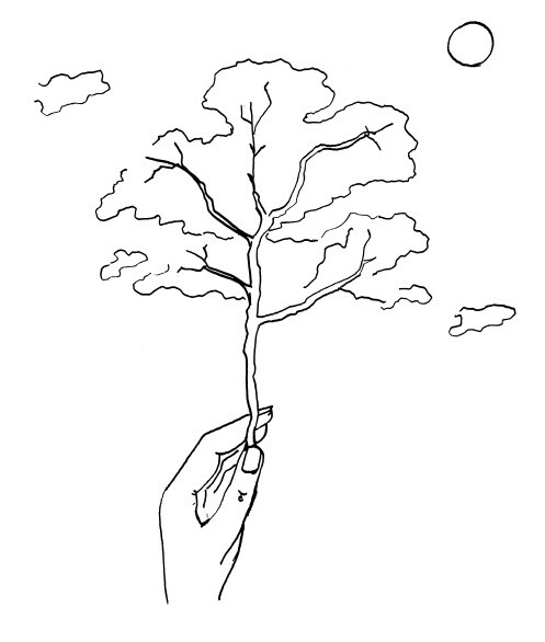 Иллюстрация к книге — Не складывается – вычитай [img_4.jpg]