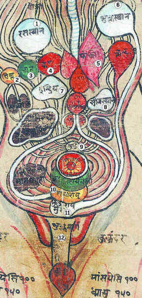 Иллюстрация к книге — История алхимии. Путешествие философского камня из бронзового века в атомный [i_020.jpg]