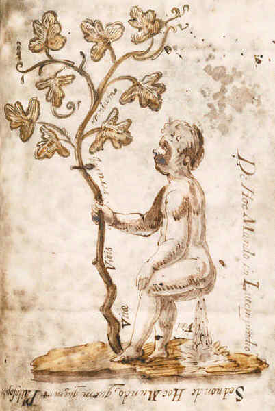 Иллюстрация к книге — История алхимии. Путешествие философского камня из бронзового века в атомный [i_146.jpg]