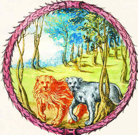 Иллюстрация к книге — История алхимии. Путешествие философского камня из бронзового века в атомный [i_198.jpg]