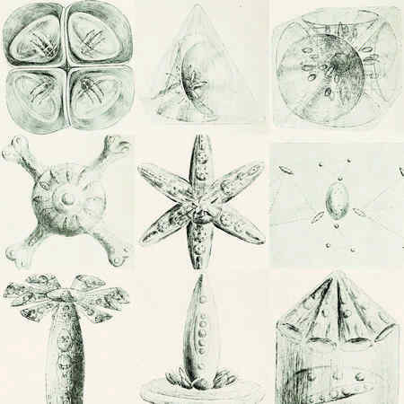 Иллюстрация к книге — История алхимии. Путешествие философского камня из бронзового века в атомный [i_267.jpg]