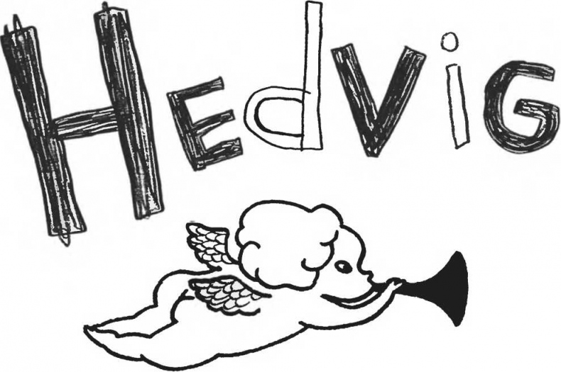 Иллюстрация к книге — Хедвиг наконец-то идёт в школу! [i_001.jpg]