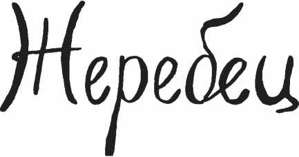 Иллюстрация к книге — Хедвиг наконец-то идёт в школу! [i_006.jpg]