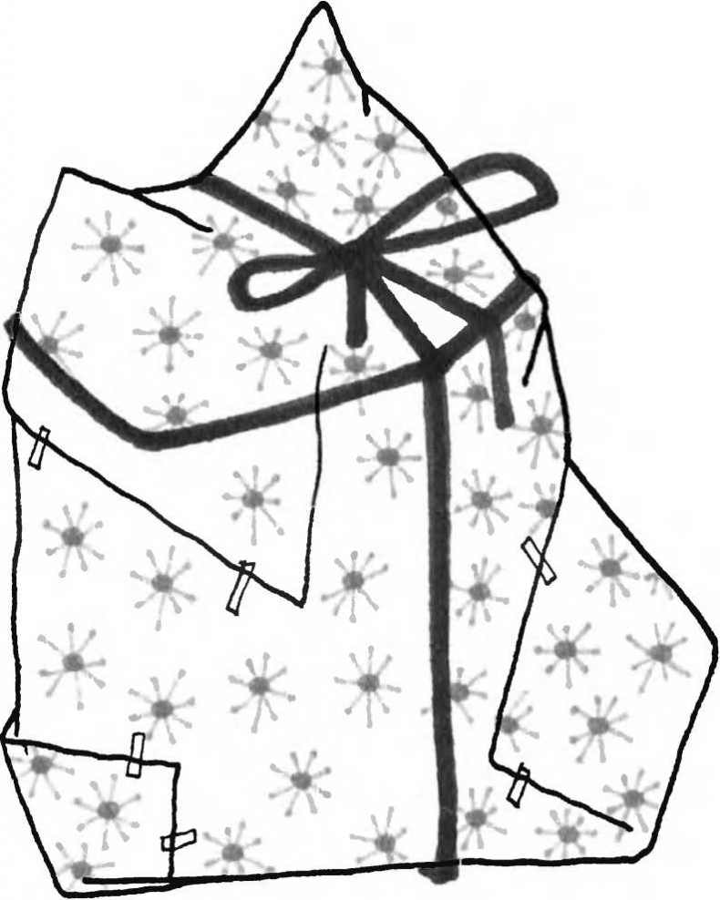 Иллюстрация к книге — Хедвиг наконец-то идёт в школу! [i_018.jpg]