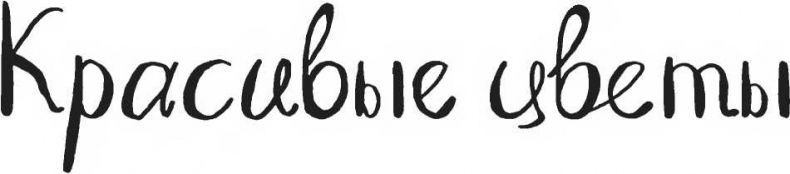 Иллюстрация к книге — Хедвиг наконец-то идёт в школу! [i_028.jpg]