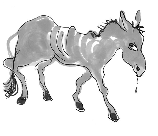 Иллюстрация к книге — Хедвиг совершенно не виновата! [i000002760001.jpg]