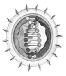 Иллюстрация к книге — Панмедиа. COVID-19, люди и политика [i_003.jpg]