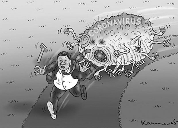 Иллюстрация к книге — Панмедиа. COVID-19, люди и политика [i_011.jpg]