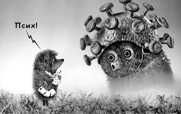 Иллюстрация к книге — Панмедиа. COVID-19, люди и политика [i_018.jpg]