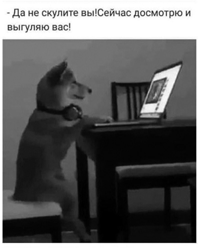 Иллюстрация к книге — Панмедиа. COVID-19, люди и политика [i_027.jpg]