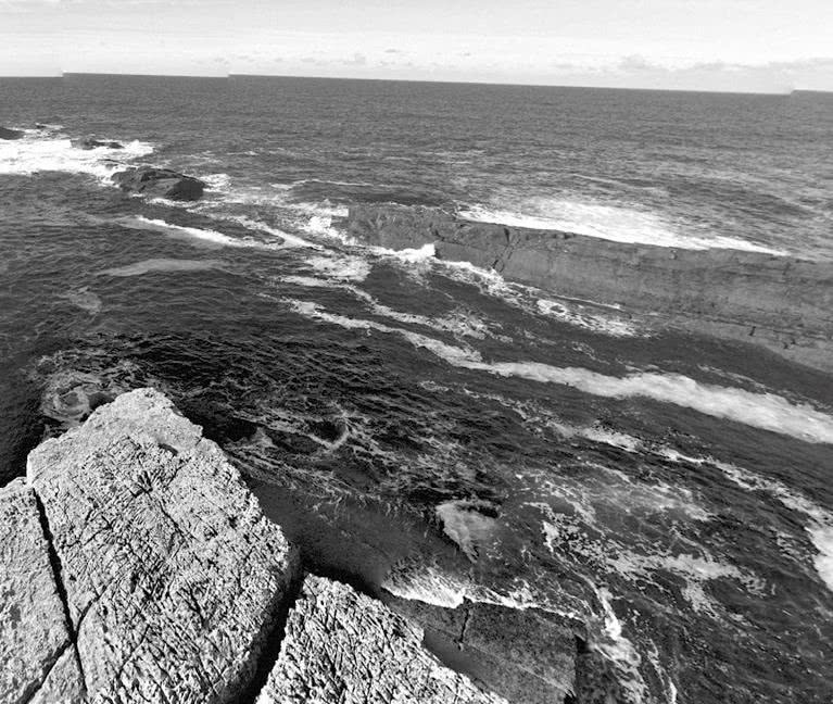 Иллюстрация к книге — Выгон [i_005.jpg]