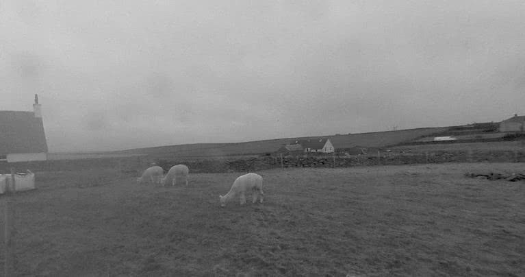 Иллюстрация к книге — Выгон [i_007.jpg]