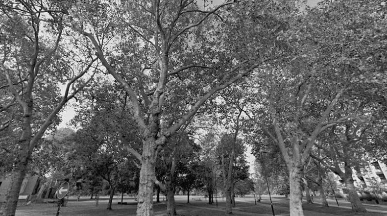 Иллюстрация к книге — Выгон [i_016.jpg]