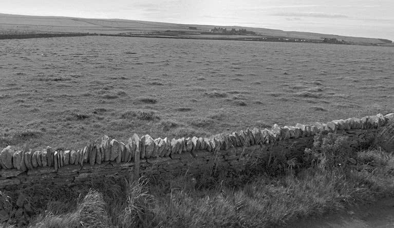 Иллюстрация к книге — Выгон [i_017.jpg]