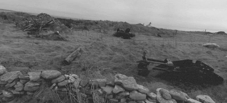 Иллюстрация к книге — Выгон [i_039.jpg]