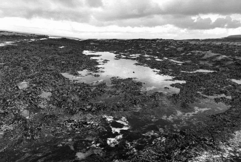 Иллюстрация к книге — Выгон [i_041.jpg]