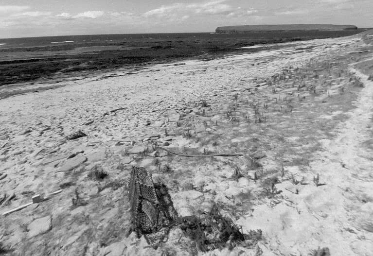 Иллюстрация к книге — Выгон [i_042.jpg]