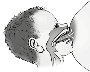 Иллюстрация к книге — Роды – просто [img_28.jpg]