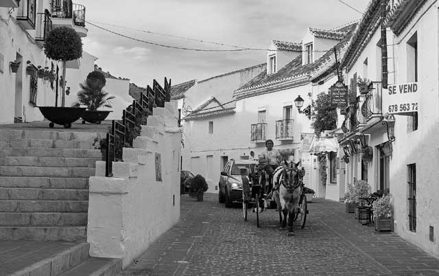 Иллюстрация к книге — Испания со вкусом солнца. Гаспачо для печального рыцаря [i_038.jpg]