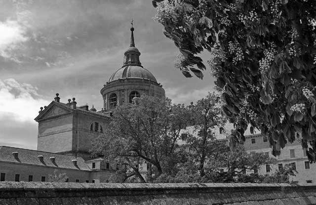 Иллюстрация к книге — Испания со вкусом солнца. Гаспачо для печального рыцаря [i_043.jpg]