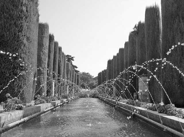 Иллюстрация к книге — Испания со вкусом солнца. Гаспачо для печального рыцаря [i_077.jpg]