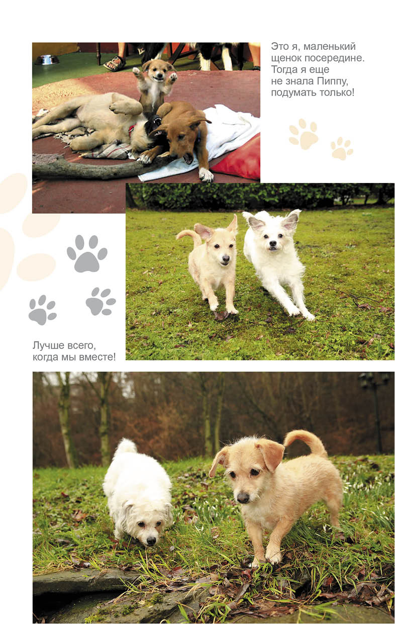 Иллюстрация к книге — Дорога домой [i_001.jpg]