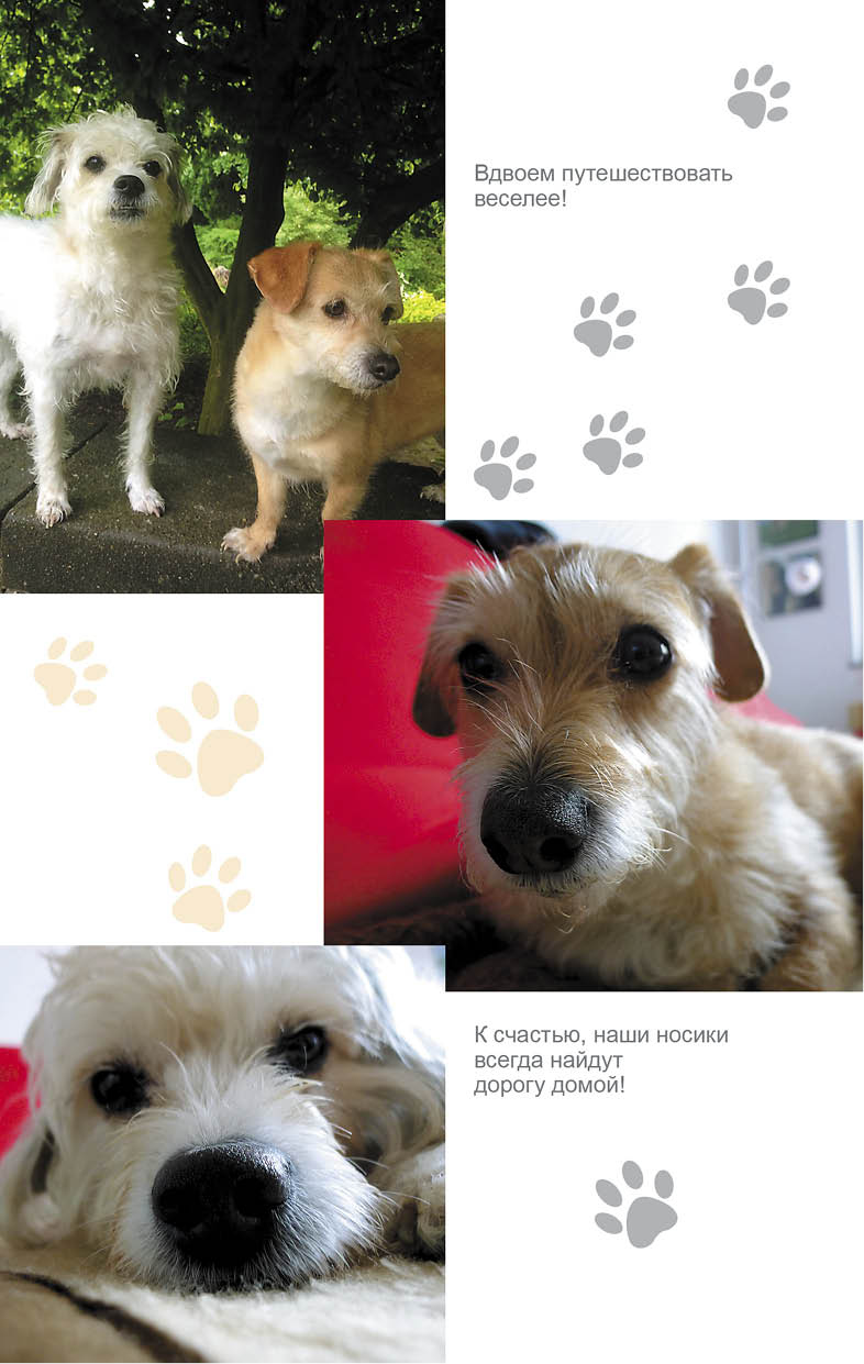 Иллюстрация к книге — Дорога домой [i_003.jpg]