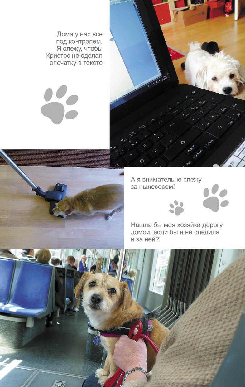 Иллюстрация к книге — Дорога домой [i_004.jpg]