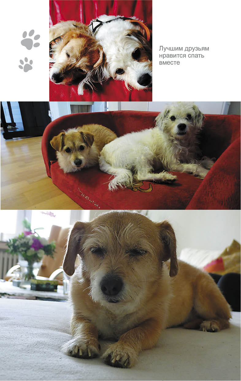 Иллюстрация к книге — Дорога домой [i_006.jpg]