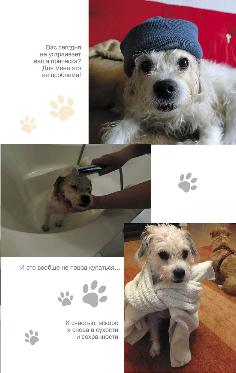 Иллюстрация к книге — Дорога домой [i_007.jpg]