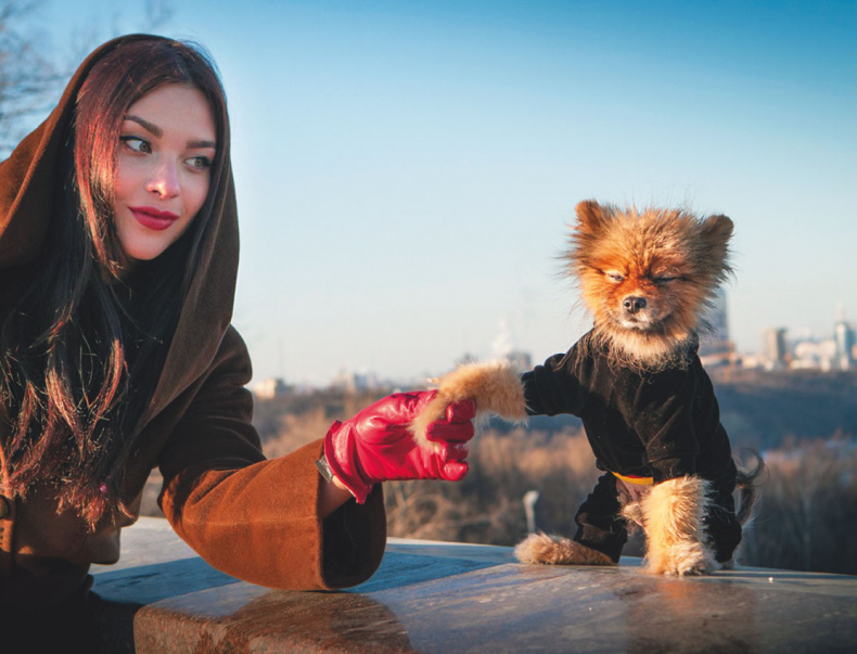 Иллюстрация к книге — Чушь собачья, или Мир на поводке [i_001.jpg]