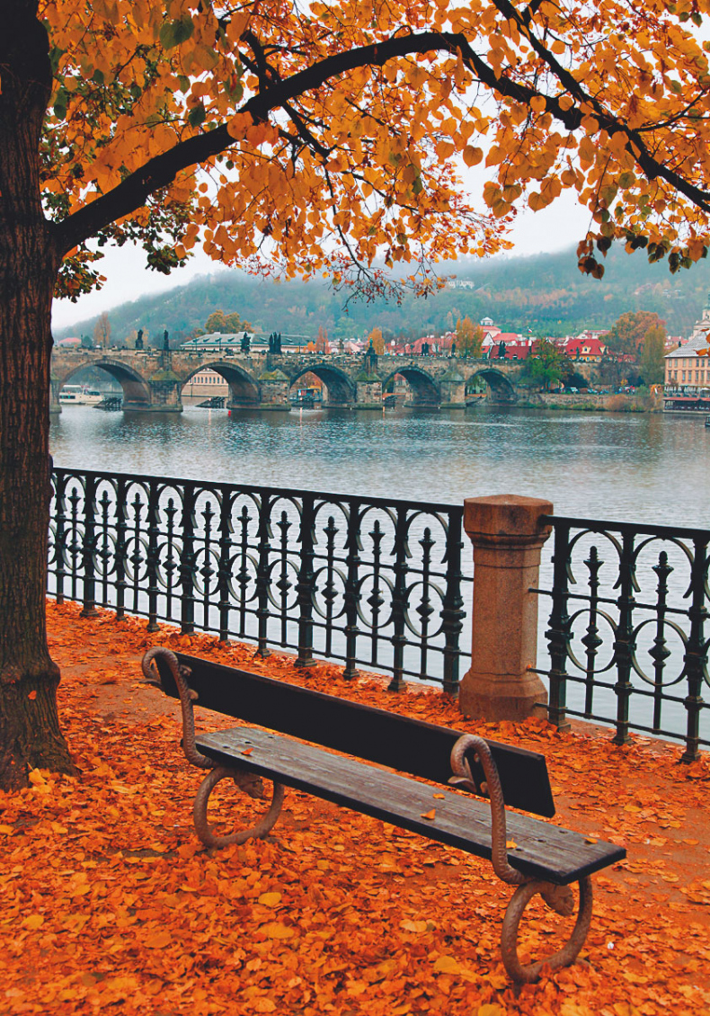 Иллюстрация к книге — Чушь собачья, или Мир на поводке [i_011.jpg]