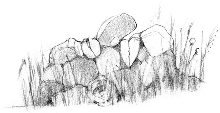 Иллюстрация к книге — Истории Дядюшки Дуба. Книга 1. Встреча [i_018.jpg]