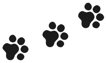 Иллюстрация к книге — Случайный ветеринар. Записки практикующего айболита [i_002.jpg]