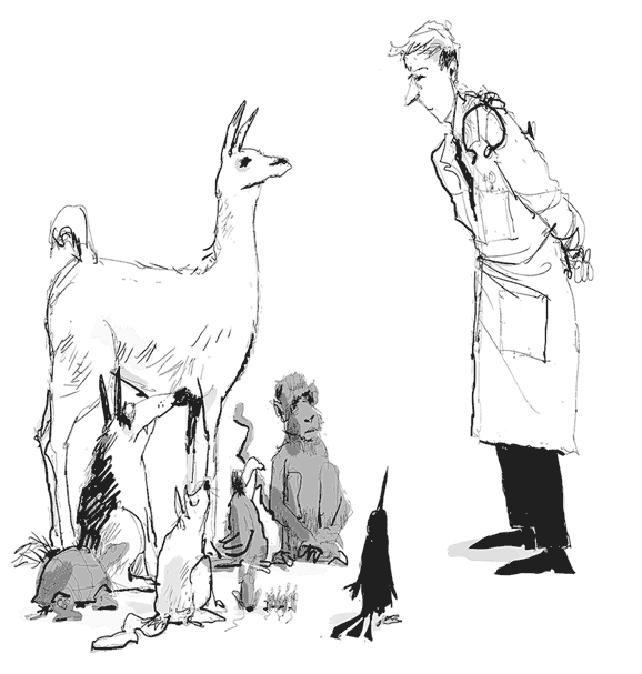 Иллюстрация к книге — Случайный ветеринар. Записки практикующего айболита [i_003.jpg]