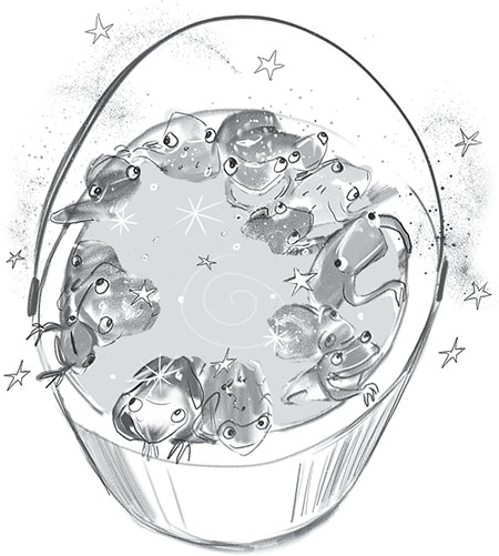 Иллюстрация к книге — София и Рейнбоу [i_043.jpg]